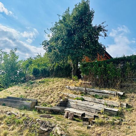 Libling Ruzovy Guest House Banska Stiavnica Luaran gambar