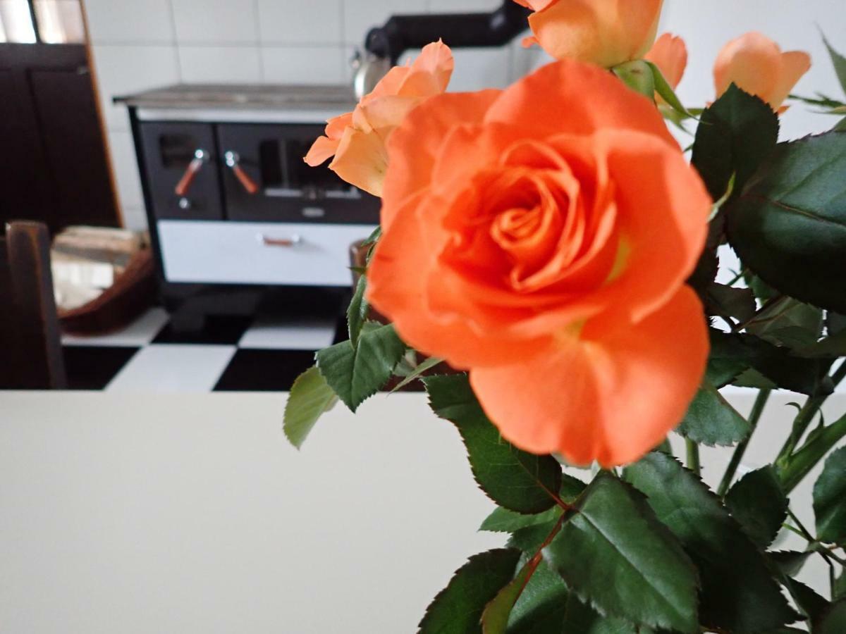 Libling Ruzovy Guest House Banska Stiavnica Luaran gambar