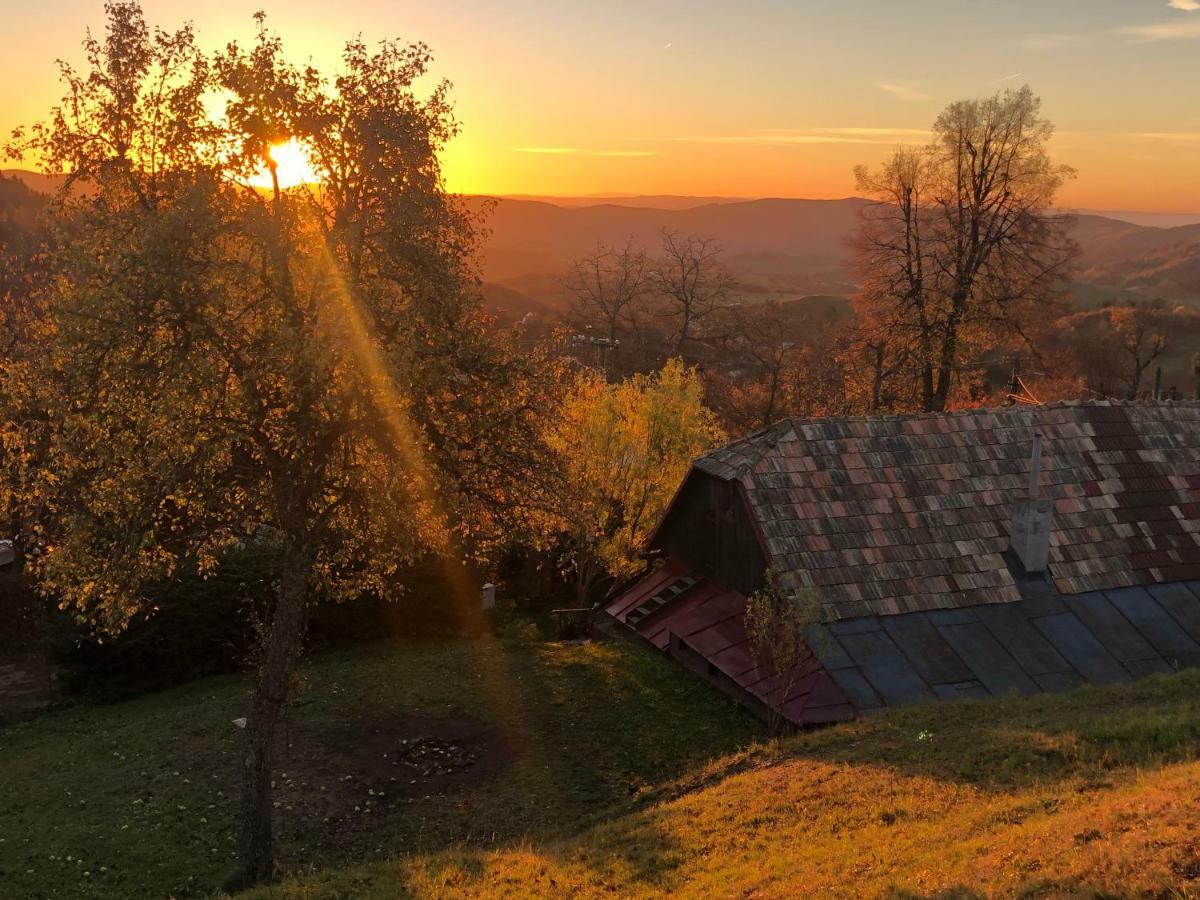 Libling Ruzovy Guest House Banska Stiavnica Luaran gambar